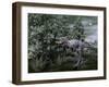 Aucasaurus Dinosaur Amongst Wollemia Trees and Onychiopsis Plants-Stocktrek Images-Framed Art Print