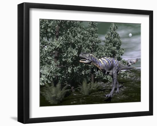 Aucasaurus Dinosaur Amongst Wollemia Trees and Onychiopsis Plants-Stocktrek Images-Framed Art Print