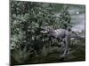 Aucasaurus Dinosaur Amongst Wollemia Trees and Onychiopsis Plants-Stocktrek Images-Mounted Art Print