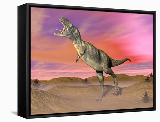 Aucasaurus Dinosaur Roaring in the Desert by Sunset-null-Framed Stretched Canvas