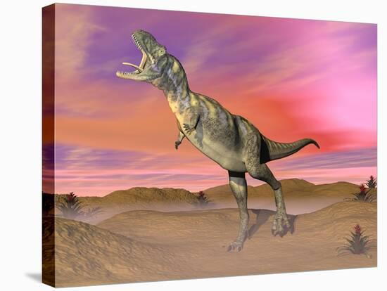 Aucasaurus Dinosaur Roaring in the Desert by Sunset-null-Stretched Canvas