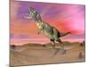 Aucasaurus Dinosaur Roaring in the Desert by Sunset-null-Mounted Art Print