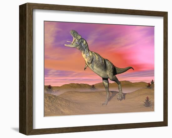 Aucasaurus Dinosaur Roaring in the Desert by Sunset-null-Framed Art Print