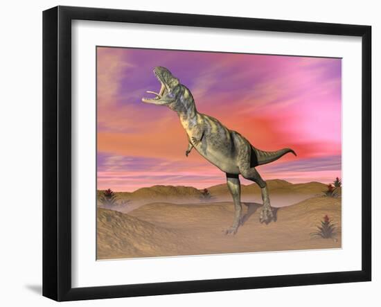 Aucasaurus Dinosaur Roaring in the Desert by Sunset-null-Framed Art Print