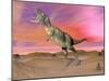 Aucasaurus Dinosaur Roaring in the Desert by Sunset-null-Mounted Art Print