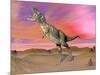 Aucasaurus Dinosaur Roaring in the Desert by Sunset-null-Mounted Art Print