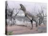 Aucasaurus Dinosaur Roaring in the Desert-null-Stretched Canvas