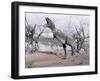 Aucasaurus Dinosaur Roaring in the Desert-null-Framed Art Print