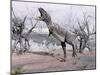 Aucasaurus Dinosaur Roaring in the Desert-null-Mounted Art Print