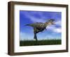 Aucasaurus Dinosaur Running in the Grass-null-Framed Art Print