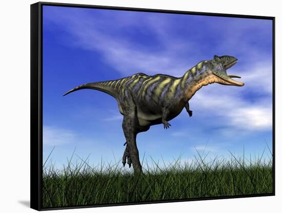 Aucasaurus Dinosaur Running in the Grass-null-Framed Stretched Canvas