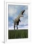 Aucasaurus Dinosaur Running on the Green Grass with Mouth Open-null-Framed Art Print