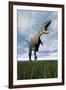 Aucasaurus Dinosaur Running on the Green Grass with Mouth Open-null-Framed Art Print