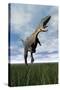 Aucasaurus Dinosaur Running on the Green Grass with Mouth Open-null-Stretched Canvas