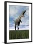 Aucasaurus Dinosaur Running on the Green Grass with Mouth Open-null-Framed Art Print