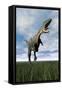 Aucasaurus Dinosaur Running on the Green Grass with Mouth Open-null-Framed Stretched Canvas