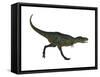 Aucasaurus Dinosaur-null-Framed Stretched Canvas