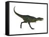 Aucasaurus Dinosaur-null-Framed Stretched Canvas