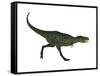 Aucasaurus Dinosaur-null-Framed Stretched Canvas