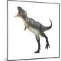 Aucasaurus Dinosaur-null-Mounted Art Print