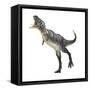 Aucasaurus Dinosaur-null-Framed Stretched Canvas