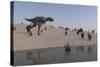 Aucasaurus Running Along the Shore-null-Stretched Canvas