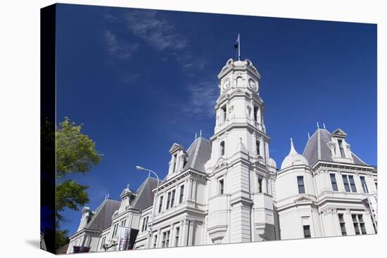 Auckland Art Gallery, Auckland, North Island, New Zealand, Pacific-Ian-Stretched Canvas