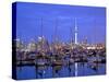 Auckland City and Harbour, Auckland, New Zealand, Pacific Ocean.-Neil Farrin-Stretched Canvas
