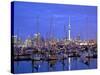 Auckland City and Harbour, Auckland, New Zealand, Pacific Ocean.-Neil Farrin-Stretched Canvas