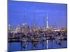 Auckland City and Harbour, Auckland, New Zealand, Pacific Ocean.-Neil Farrin-Mounted Photographic Print