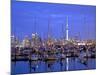 Auckland City and Harbour, Auckland, New Zealand, Pacific Ocean.-Neil Farrin-Mounted Photographic Print