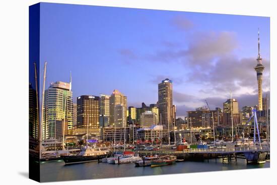 Auckland City and Harbour, Auckland, North Island, New Zealand, Pacific-Neil Farrin-Stretched Canvas