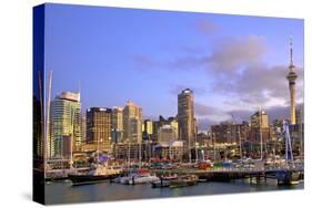 Auckland City and Harbour, Auckland, North Island, New Zealand, Pacific-Neil Farrin-Stretched Canvas