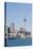 Auckland City Skyline, North Island, New Zealand, Pacific-Matthew Williams-Ellis-Stretched Canvas