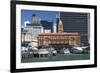 Auckland Ferry Terminal, Auckland, North Island, New Zealand, Pacific-Matthew Williams-Ellis-Framed Photographic Print