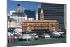 Auckland Ferry Terminal, Auckland, North Island, New Zealand, Pacific-Matthew Williams-Ellis-Mounted Photographic Print