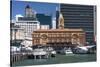 Auckland Ferry Terminal, Auckland, North Island, New Zealand, Pacific-Matthew Williams-Ellis-Stretched Canvas