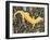 Auckland Green Gecko (Naultinus Elegans Elegans), Gekkonidae, Yellow Morph-null-Framed Giclee Print