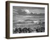 Auckland Harbour, Aukland, North Island, New Zealand, 1886-Lancelot-Framed Giclee Print