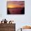 Auckland Harbour Bridge and Waitemata Harbour at Dusk, New Zealand-David Wall-Photographic Print displayed on a wall