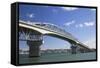 Auckland Harbour Bridge, Auckland, North Island, New Zealand, Pacific-Ian-Framed Stretched Canvas