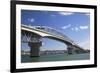 Auckland Harbour Bridge, Auckland, North Island, New Zealand, Pacific-Ian-Framed Photographic Print