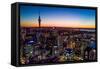 Auckland, New Zealand. The Auckland Skytower and harbor at night.-Micah Wright-Framed Stretched Canvas