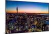 Auckland, New Zealand. The Auckland Skytower and harbor at night.-Micah Wright-Mounted Photographic Print