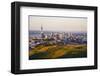 Auckland New Zealand-null-Framed Art Print