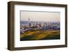 Auckland New Zealand-null-Framed Art Print