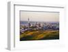 Auckland New Zealand-null-Framed Art Print