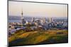 Auckland New Zealand-null-Mounted Art Print