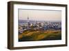 Auckland New Zealand-null-Framed Art Print