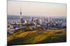 Auckland New Zealand-null-Mounted Art Print